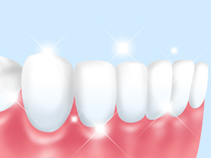 特徴1プラーク（歯垢）の付着が少ない